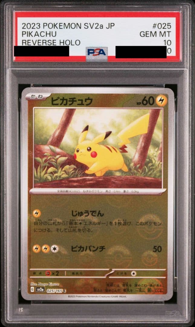 ピカチュウ リバホロ PSA10
