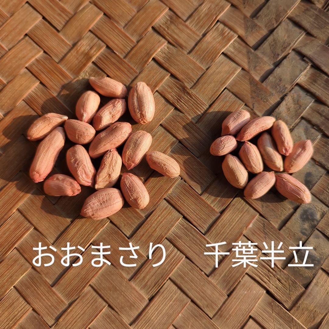 Naoto　千葉県産 おおまさり 手むき 乾燥生落花生