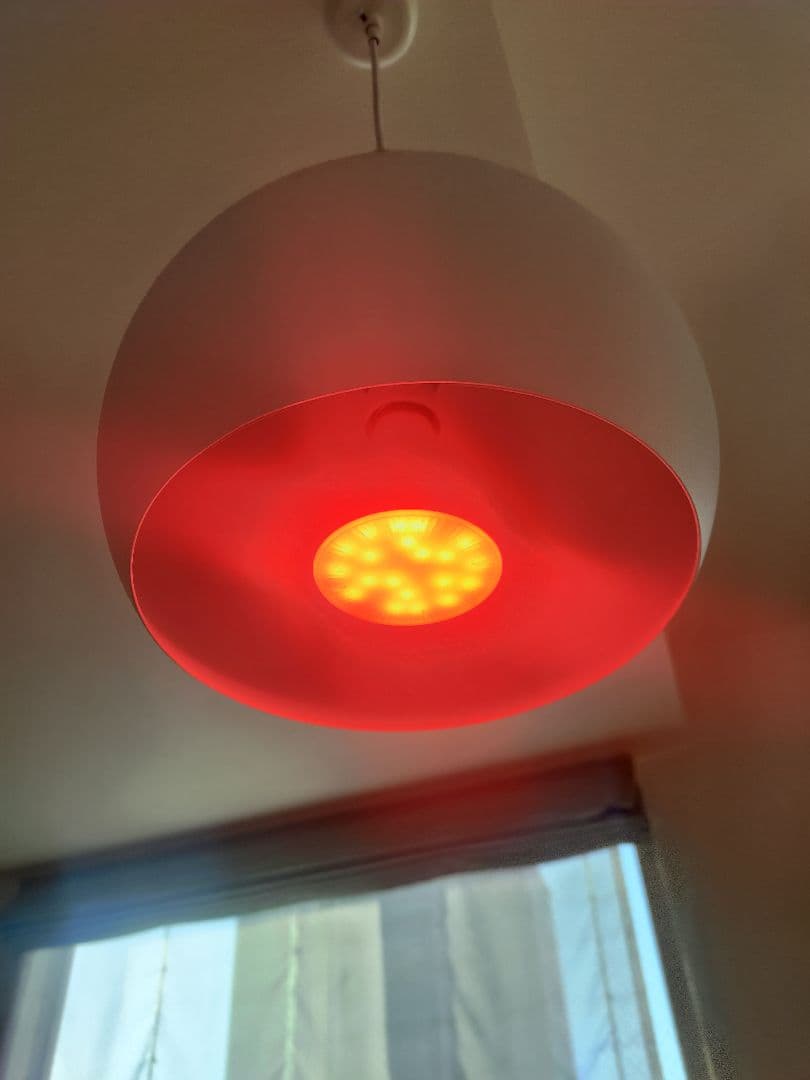 LED照明　明王　ライトセラピー　皮膚　髪　セット