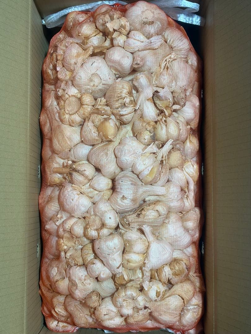 青森県産にんにく　訳あり　加工　大中　１０ｋｇ