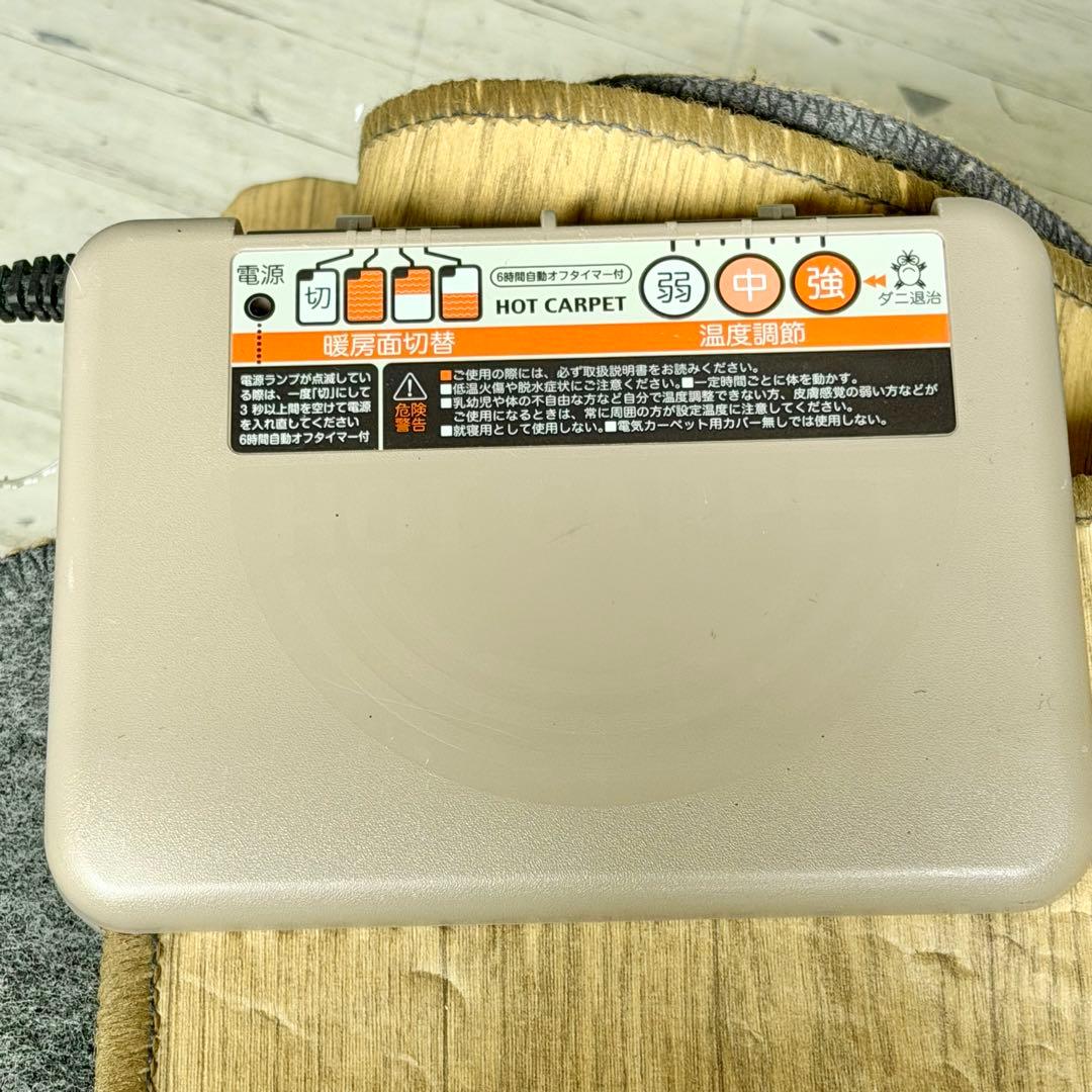 TEKNOS 木目フローリング調ホットカーペット 3畳相当タイプ