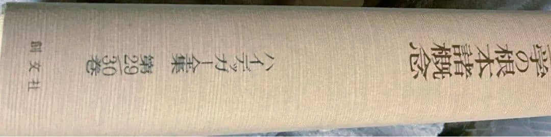ハイデッガー全集　形而上学の根本諸概念　第29/30巻　ハイデガー　創文社