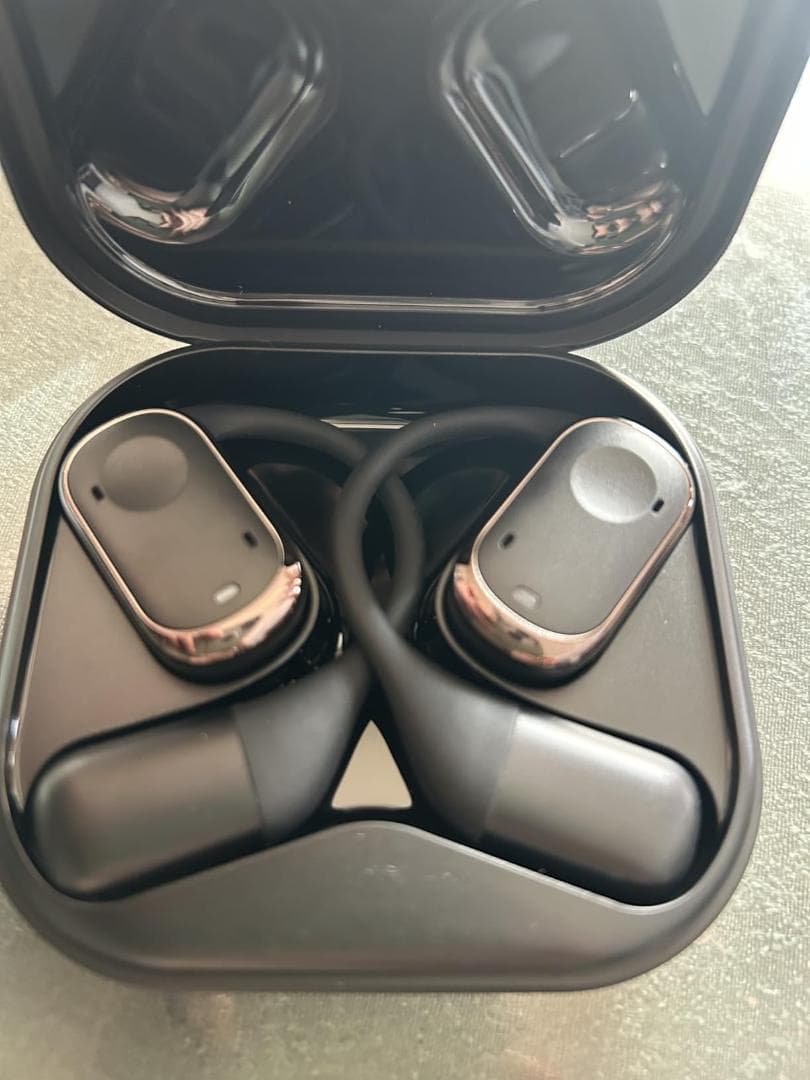 イヤホン翻訳機 双方向同時通訳 オフライン対応 高精度 通訳機 軽量 指向性ノm