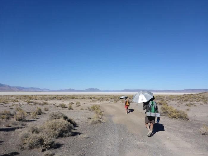 シックスムーンデザインズ　折りたたみ傘　兼用　選べる持ち手つき　カーボン　超軽量