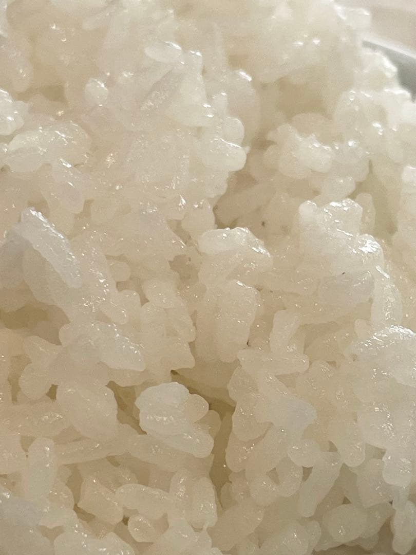 令和7年度産　ひのひかり　屑米　特別栽培米　玄米　箱込み24Kg