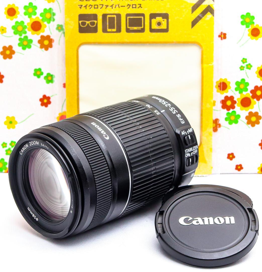 美品 Canon EF-S 55-250mm IS Ⅱ☆手振れ補正付☆望遠レンズ