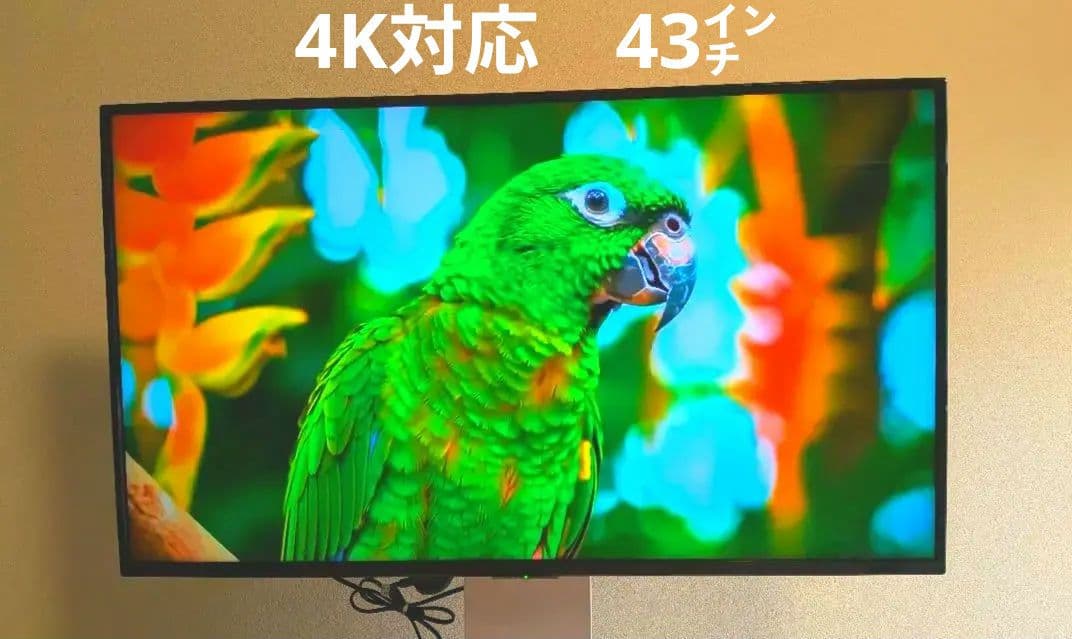 43型 4K対応 テレビ LE-431T4KT