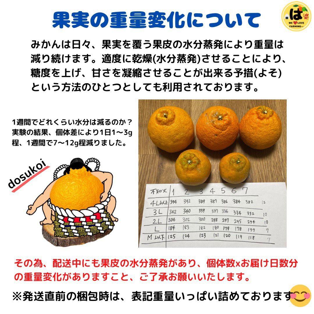 ※確認用　大玉MIX箱込み4.5kg以上【露地栽培　不知火　デコポン　肥の豊】