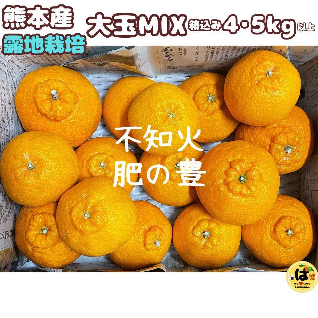 ※確認用　大玉MIX箱込み4.5kg以上【露地栽培　不知火　デコポン　肥の豊】