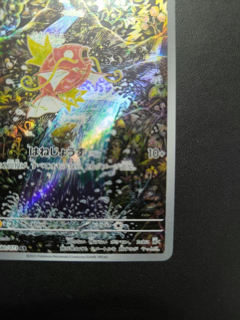 コイキング　AR