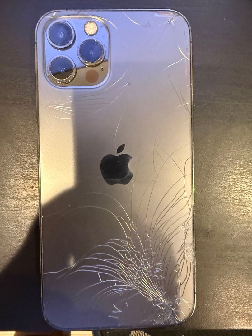 Apple iPhone 12 Pro グラファイト【ライトニング・プラグ付き】