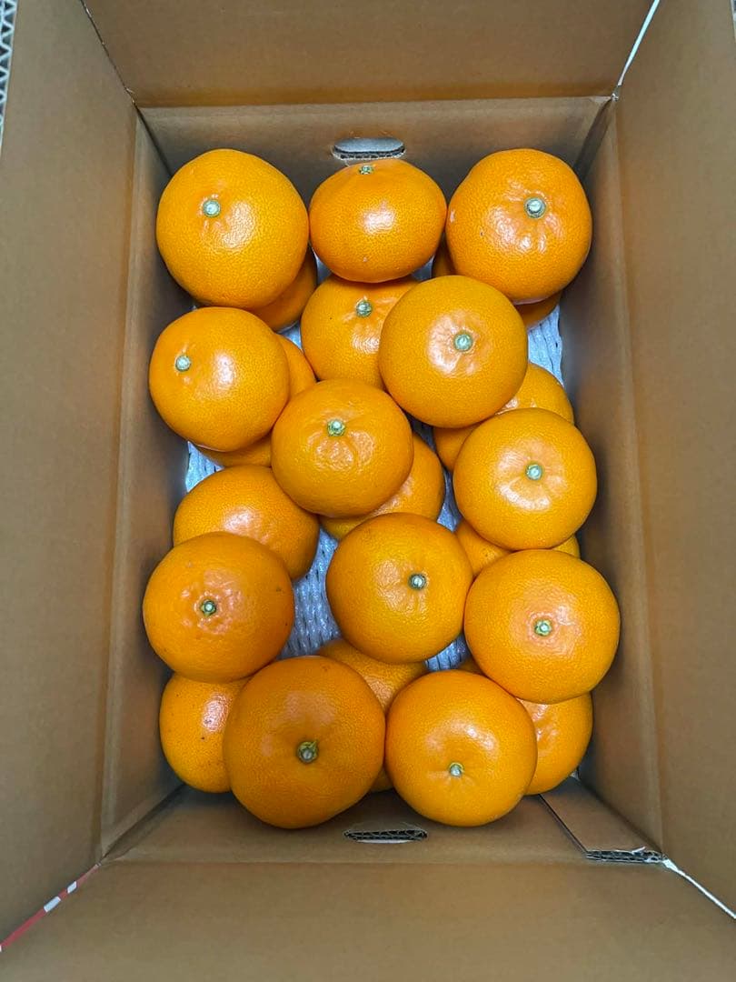 せとか(5kgx2箱)・特選