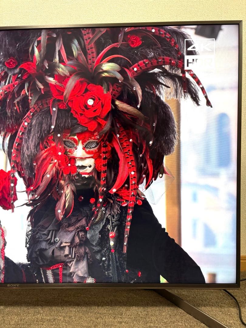 【ケン 】4K液晶テレビ KJ-49X9500G テレビ裏ラック付