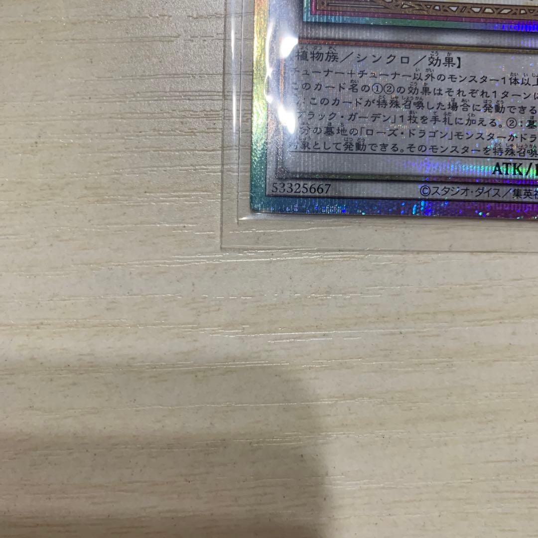 遊戯王 ガーデン・ローズ・メイデン　プリズマ　プリシク　絵違い