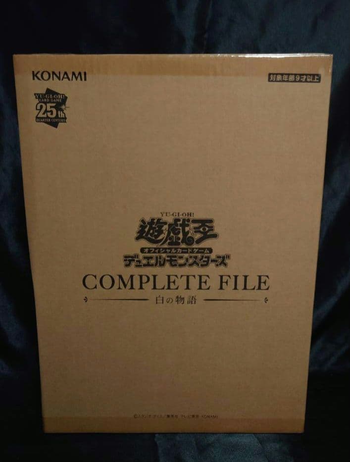 遊戯王OCG COMPLETE FILE