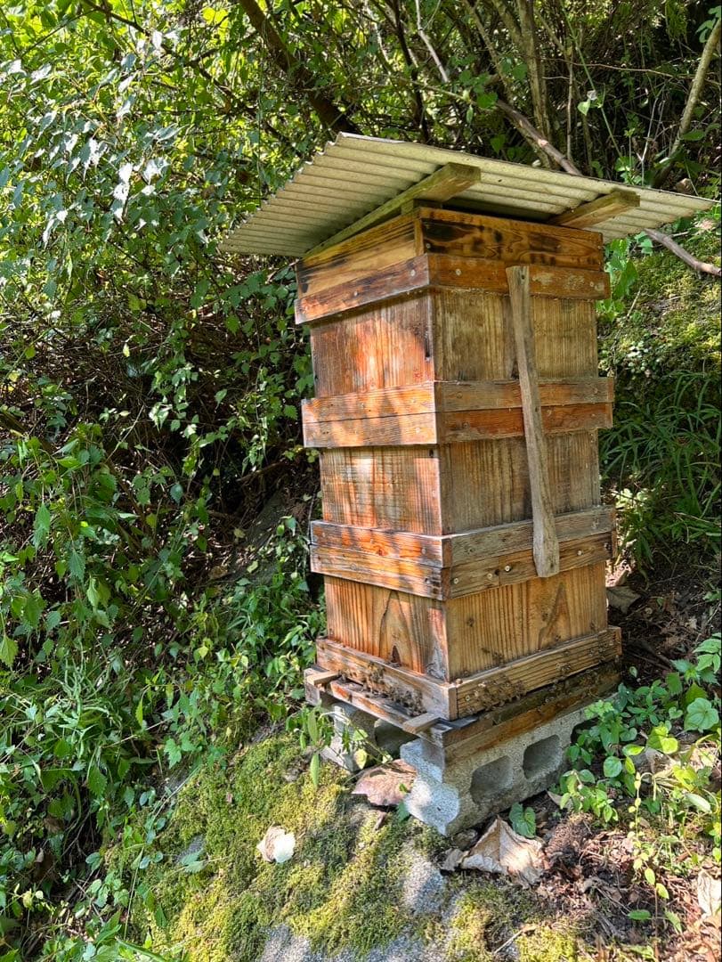 高知県産　生百花蜜　生はちみつ　非加熱　日本蜜蜂　ニホンミツバチ