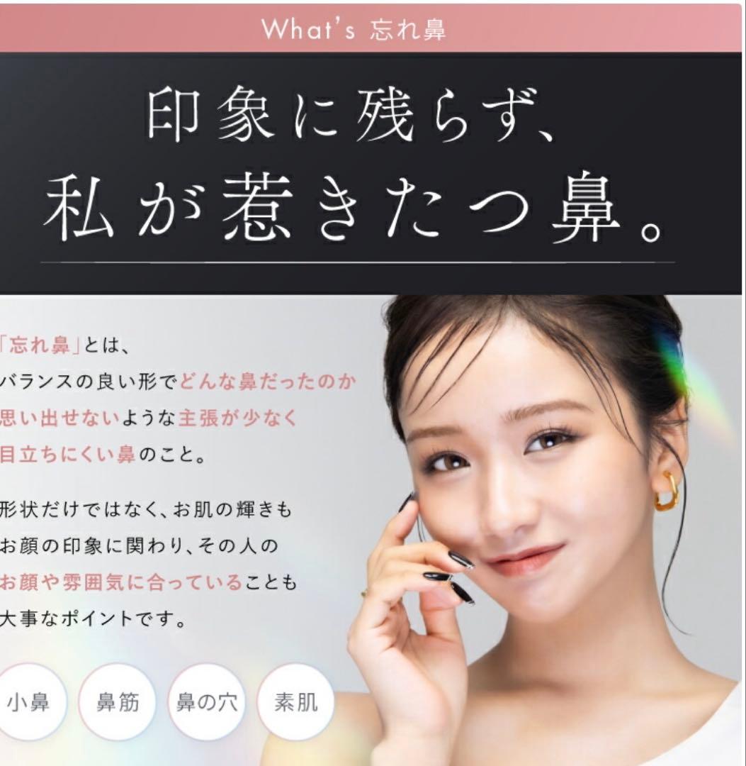 ほぼ未使用⭐︎NIPLUX Q Nose EMS美顔器 鼻専用