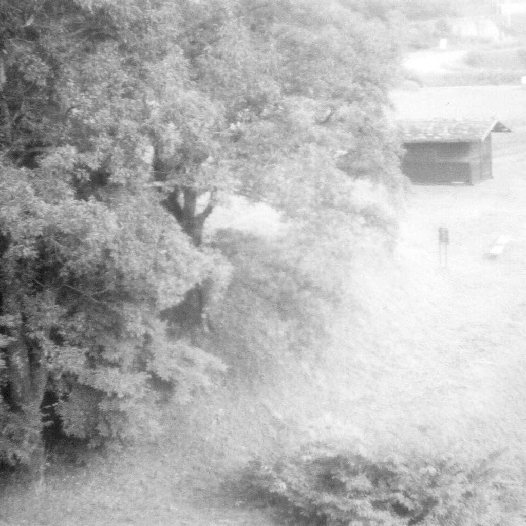 Arco35（アルコ35）日本製の蛇腹式35mmフィルムカメラ※撮影サンプルあり