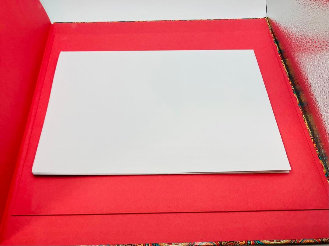 ストリートスライダーズ Rock’n’ Roll Chronicle