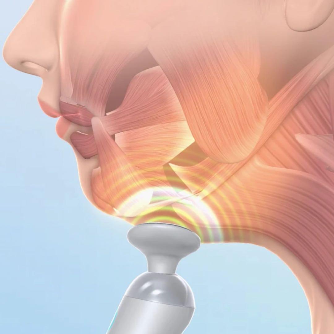 新品未開封　ルネサンス　スタイリーフェイス　StylyFale　EMS 美顔器