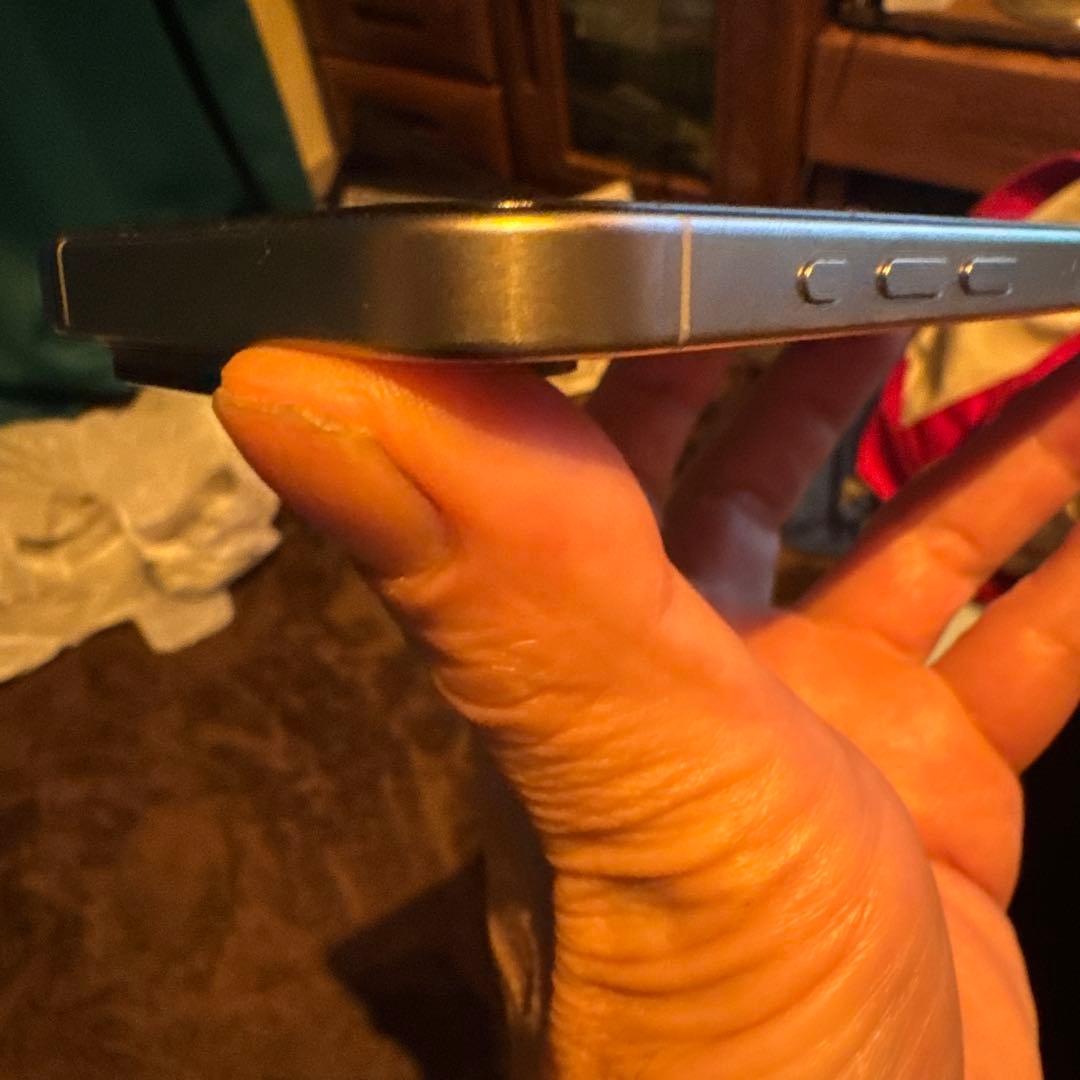 Apple iPhone 15Pro 本体　オマケ有