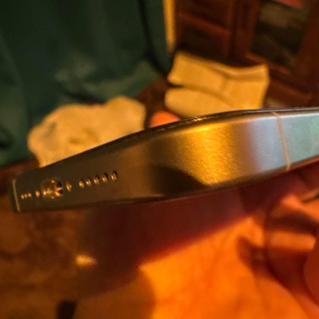 Apple iPhone 15Pro 本体　オマケ有