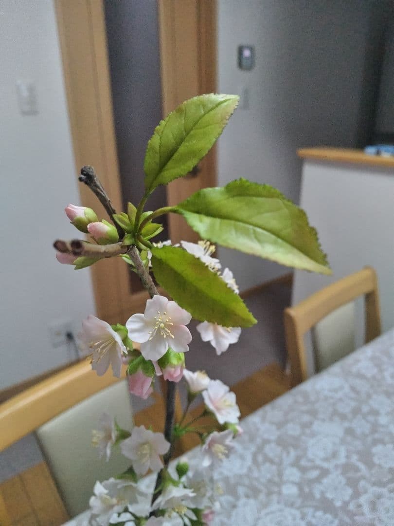 専用です。クレイフラワー