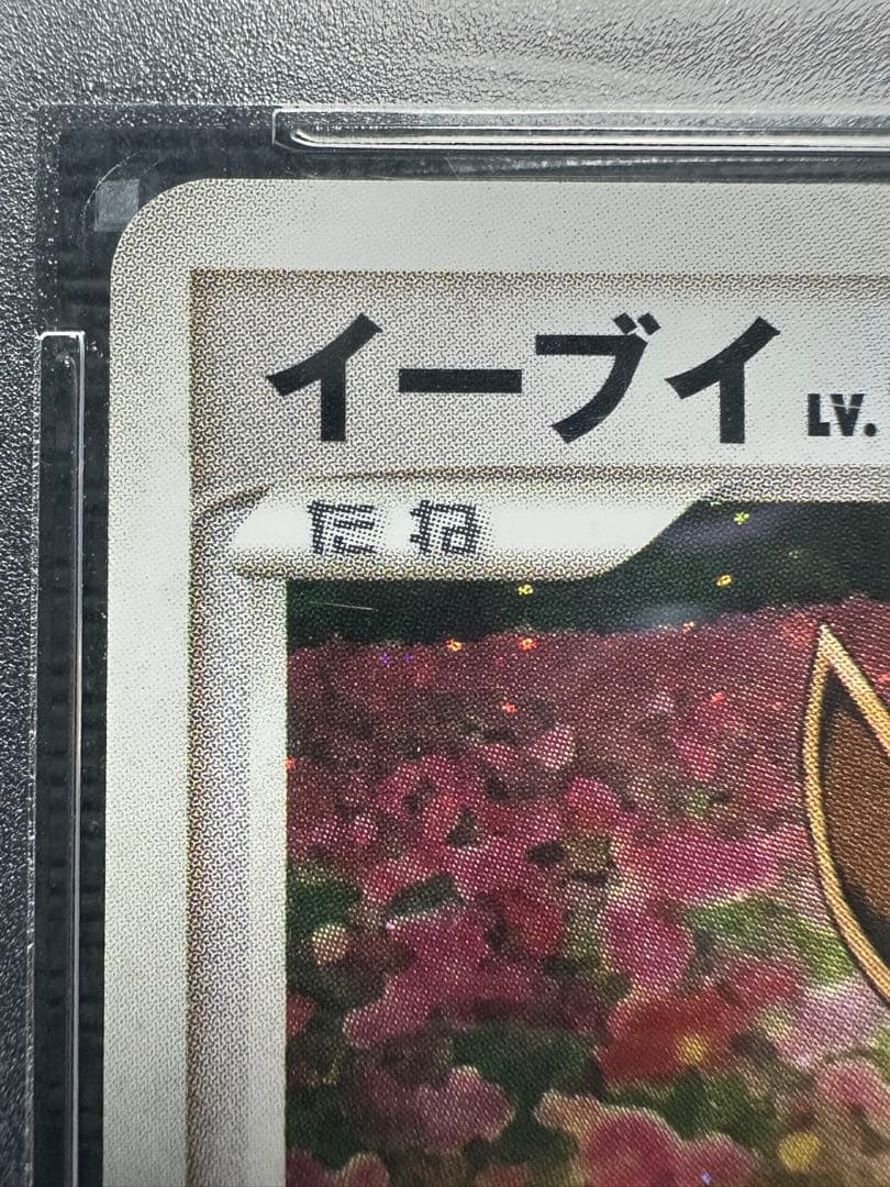 イーブイ Eevee PSA10 とりかえっこ　限定プロモ