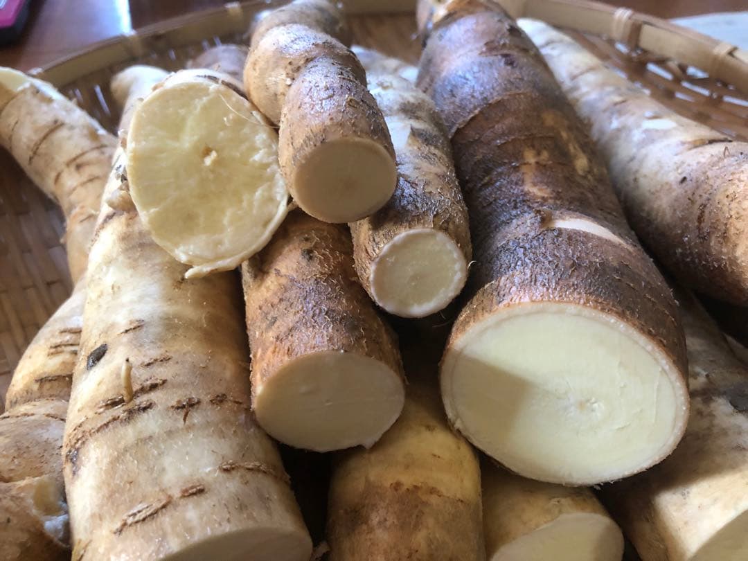 自然栽培キャッサバ芋８キロ