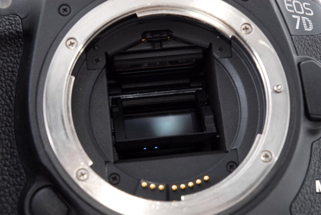 保証付☆キヤノン☆Canon EOS 7D MarkⅡ標準&望遠レンズセット