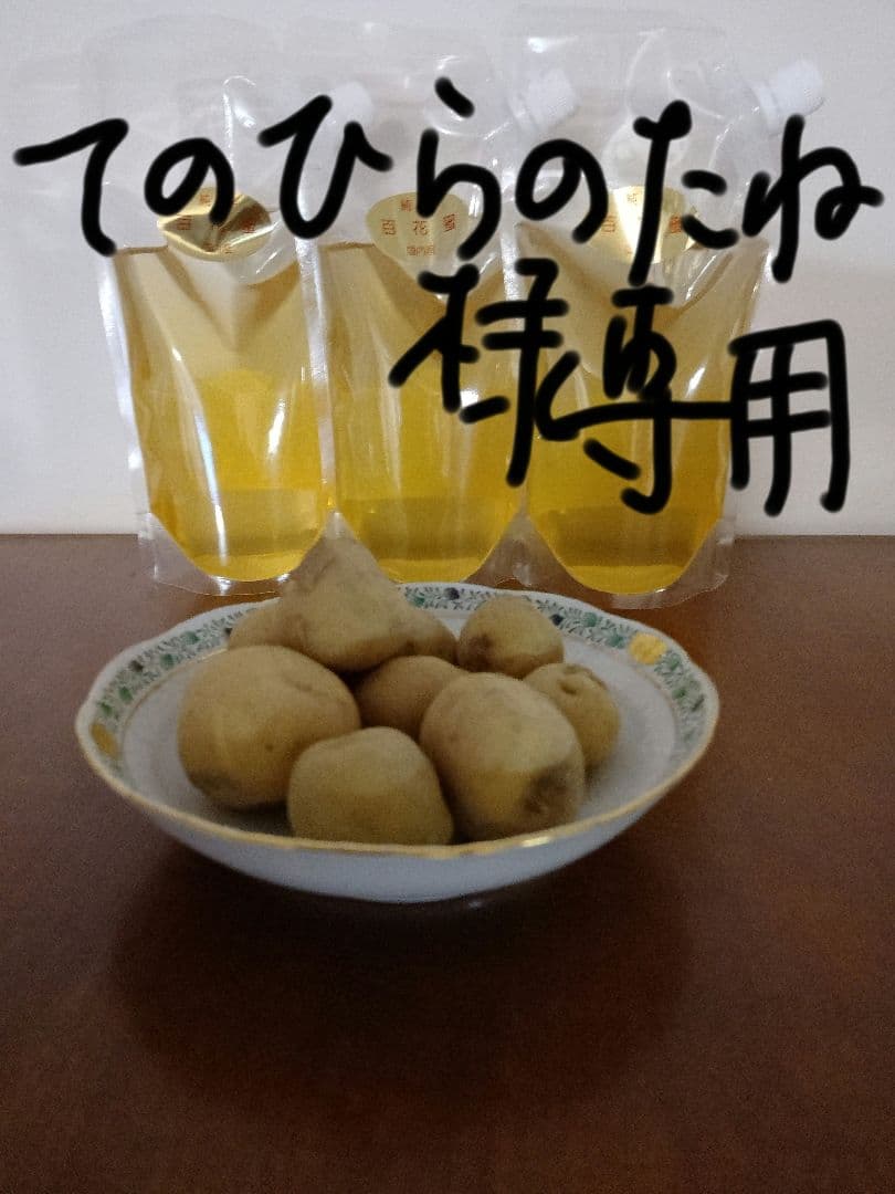 おまけつき 非加熱 　父の日　天然 国産はちみつ 2700g ハチミツ 蜂蜜