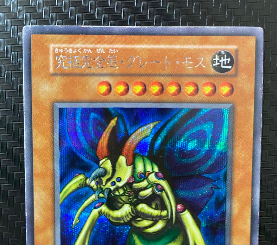 【激レア！】遊戯王　究極完全態グレートモス、ホーリーナイトドラゴン　2枚セット