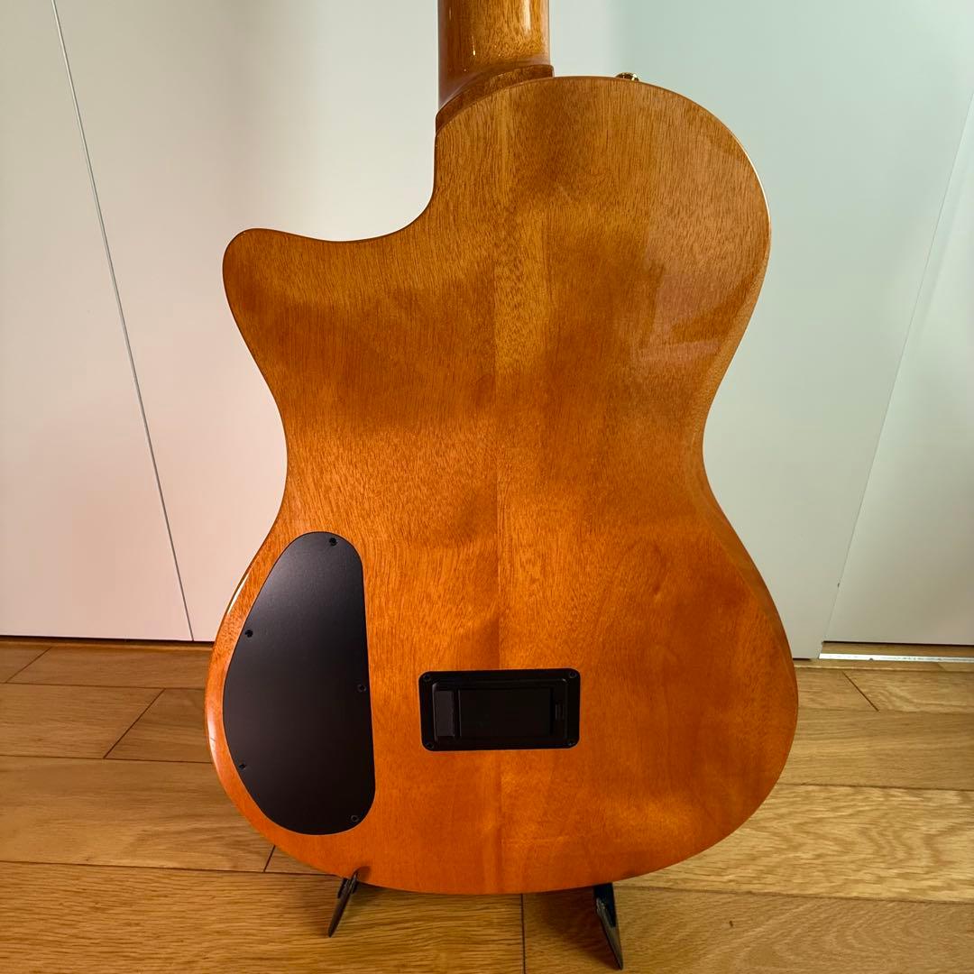 Cordoba（コルドバ） エレアコ・ナイロン弦ギター