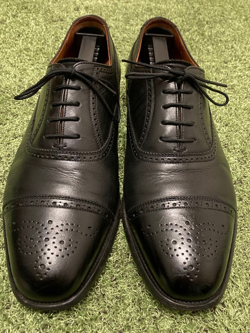 SCOTCH GRAIN セミブローグ アシュランス 25.5cm