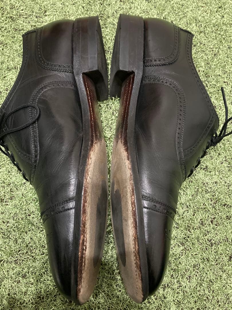 SCOTCH GRAIN セミブローグ アシュランス 25.5cm