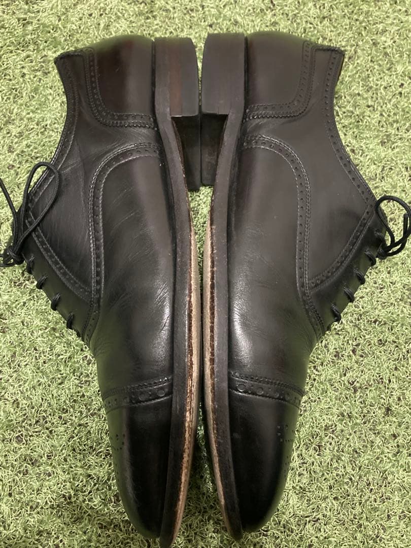 SCOTCH GRAIN セミブローグ アシュランス 25.5cm