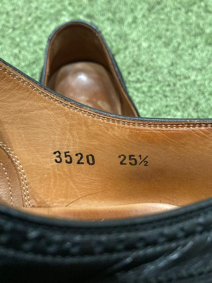 SCOTCH GRAIN セミブローグ アシュランス 25.5cm