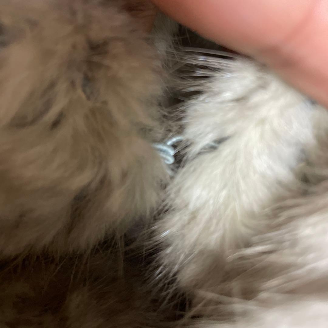 シルバー襟付きミンクファーコート