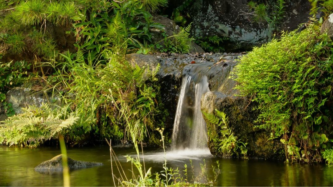 SONYα6300/SONY28-70 f3.5〜5.6 リグ、レンズフィルター