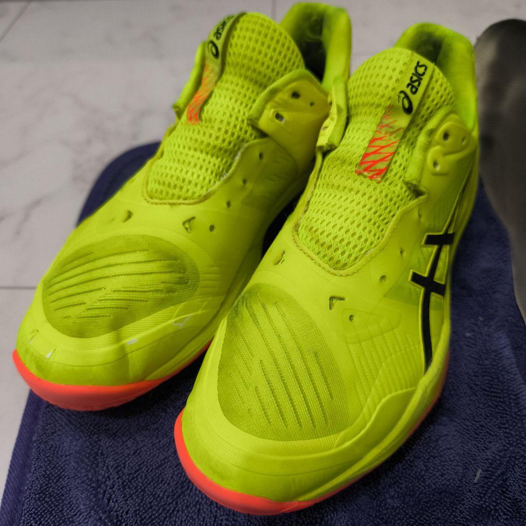 アシックス スカイエリートFF3 Paris 28.0cm