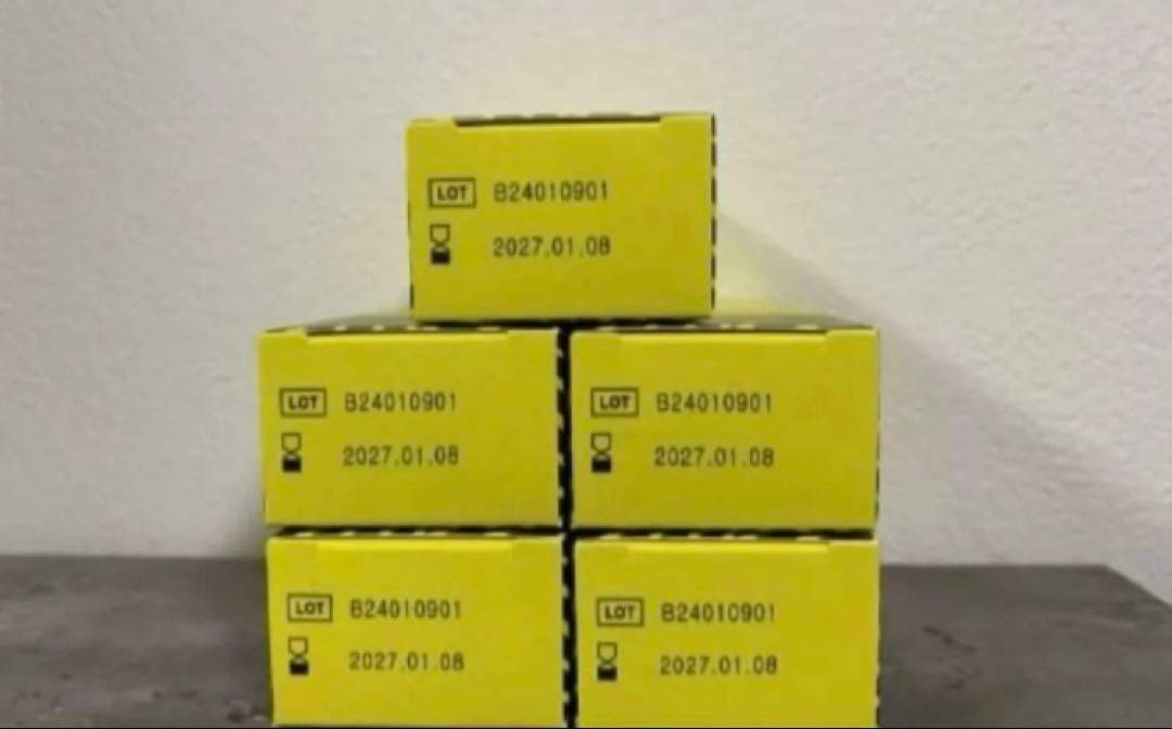 数量限定レモンボトル10ml 5本ホームケアキットプレゼント