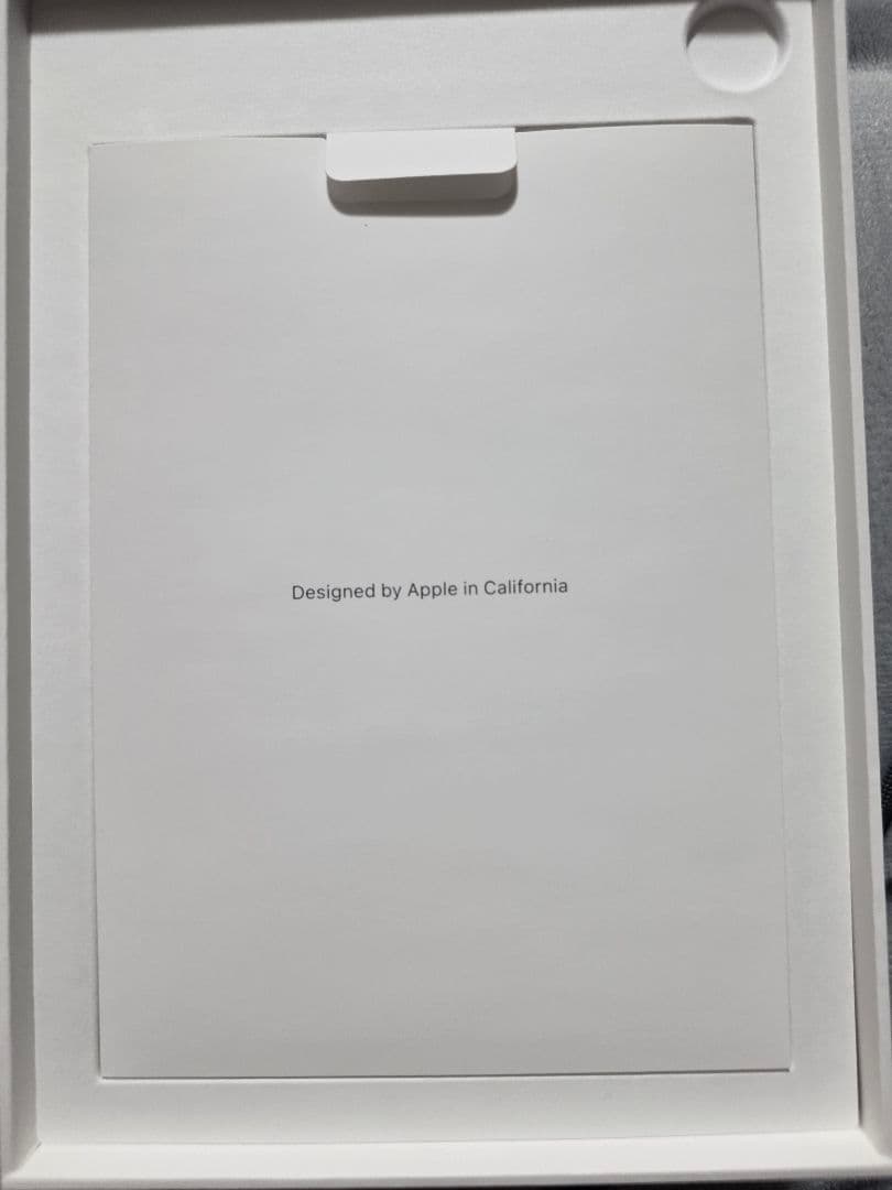 iPad本体 iPadmini (A17Pro) 256GB Apple Pencil Pro