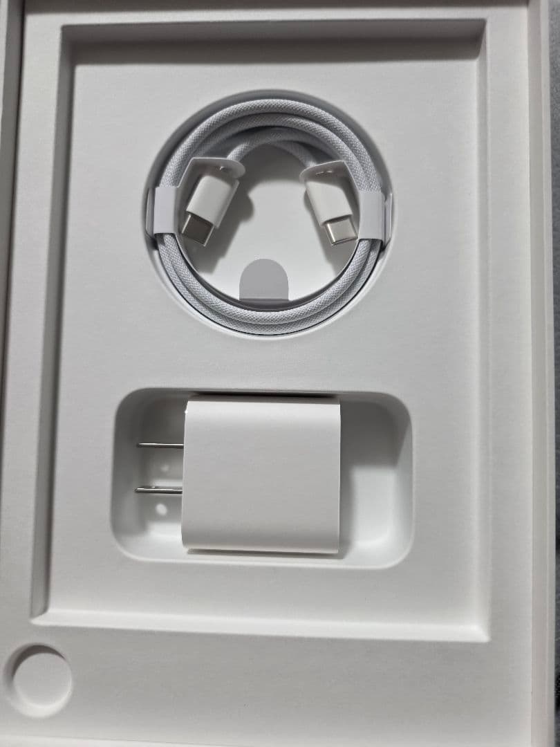 iPad本体 iPadmini (A17Pro) 256GB Apple Pencil Pro