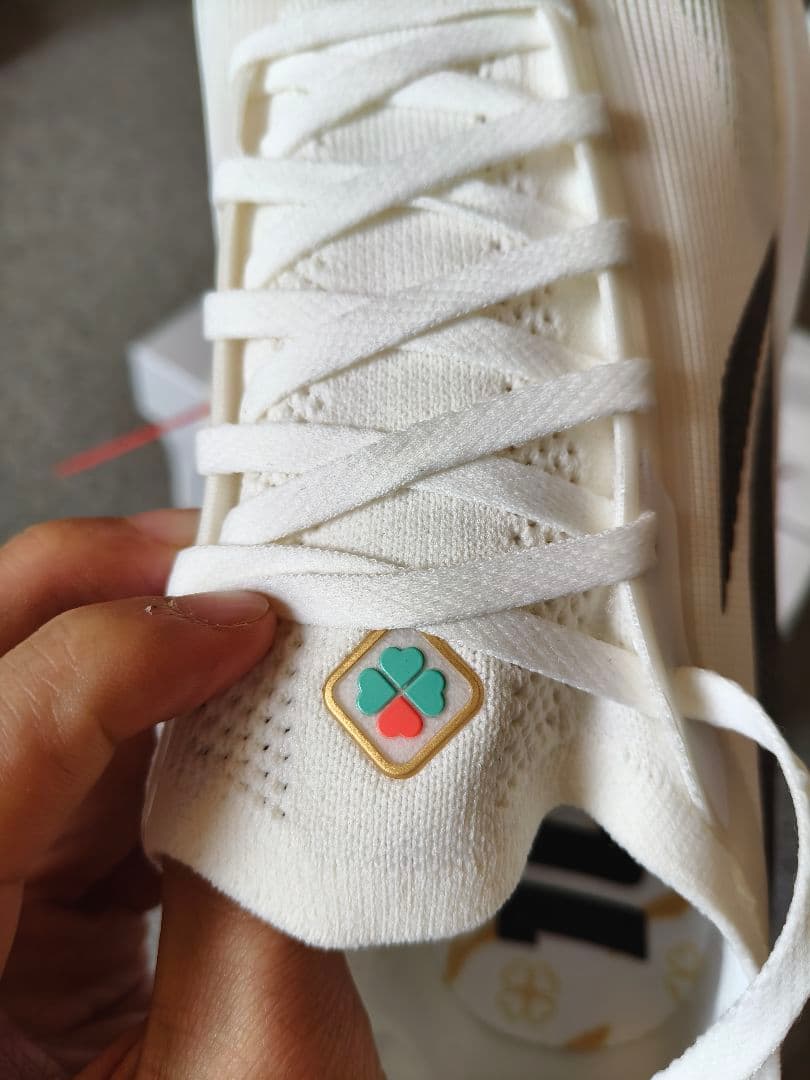 LI-NING FEIDIAN 5 ELITE 新品 265mm