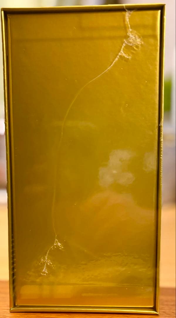 土日特価　ポケモンカード　25th ゴールデンボックス　新品未開封　Amazon