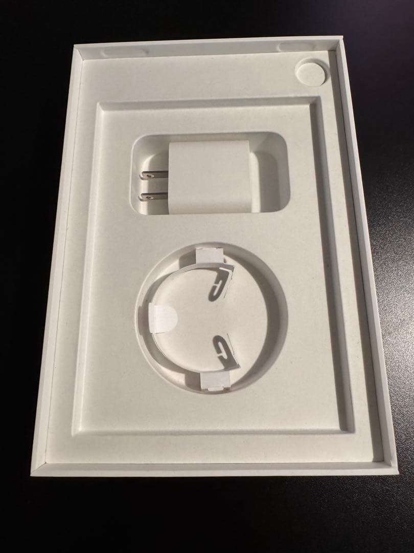 美品 iPadmini6 256G セルラー バッテリー95% + Pencil