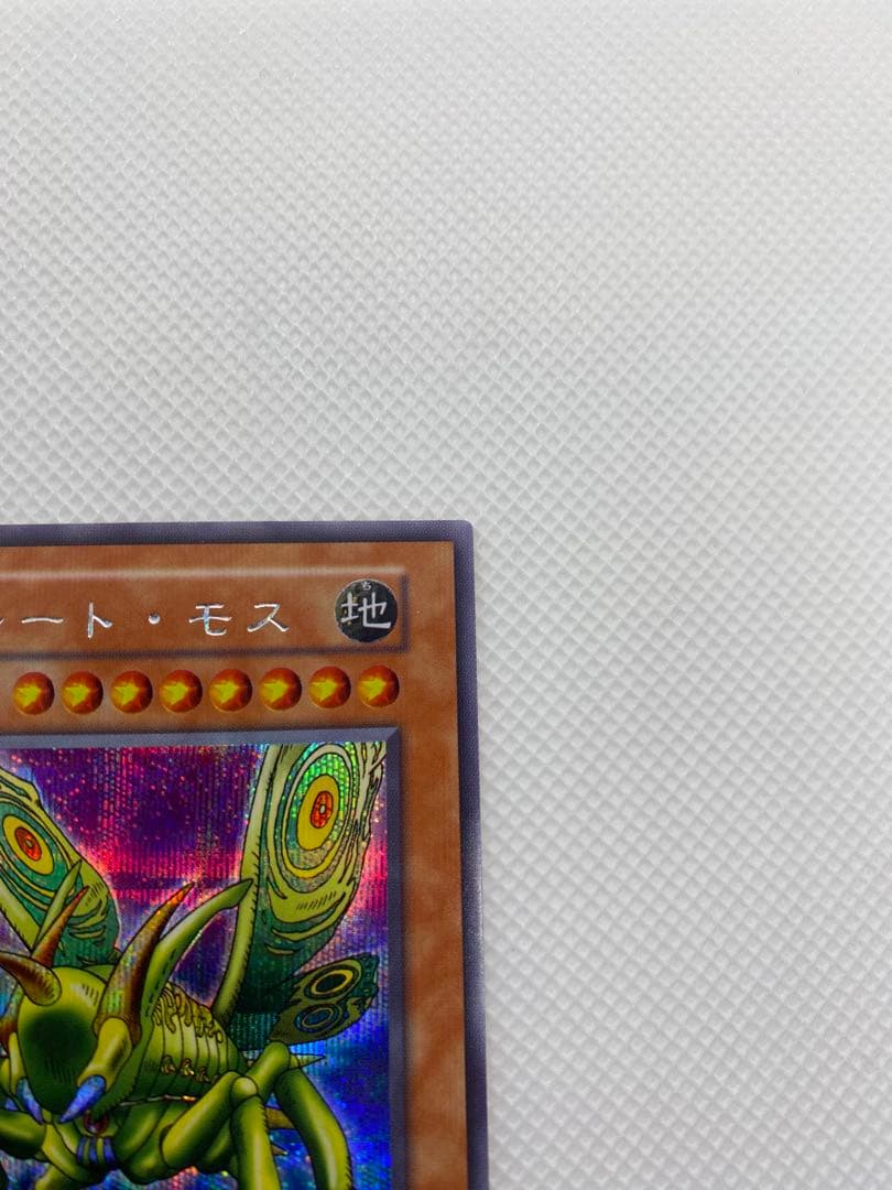 美品 グレート・モス 初期 シークレットレア