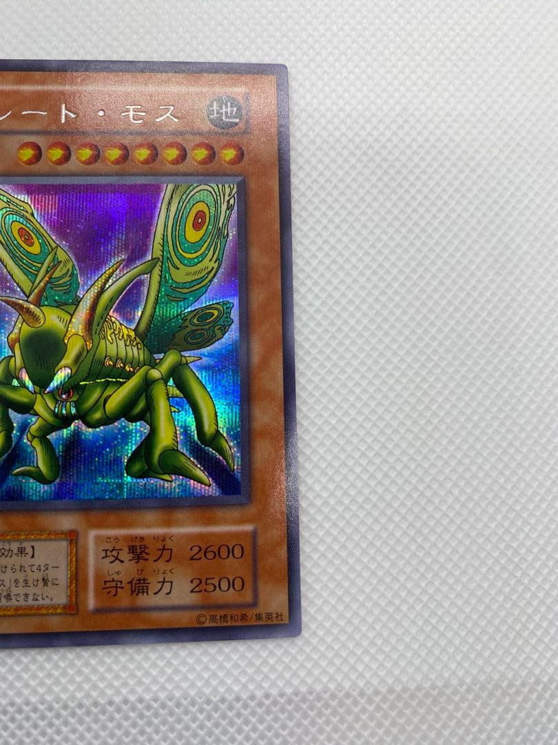 美品 グレート・モス 初期 シークレットレア