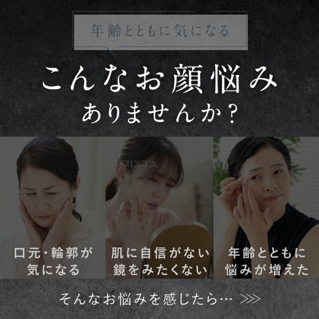 NIPLUX EMS LIFT BRUSH 美顔器