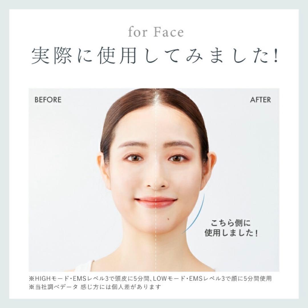 NIPLUX EMS LIFT BRUSH 美顔器